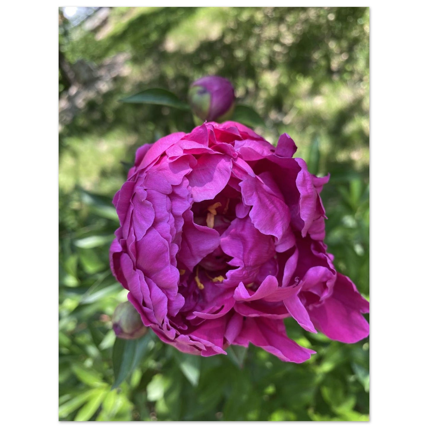 2faf4d1f-5c73-4aae-afbb-8f664adadd52