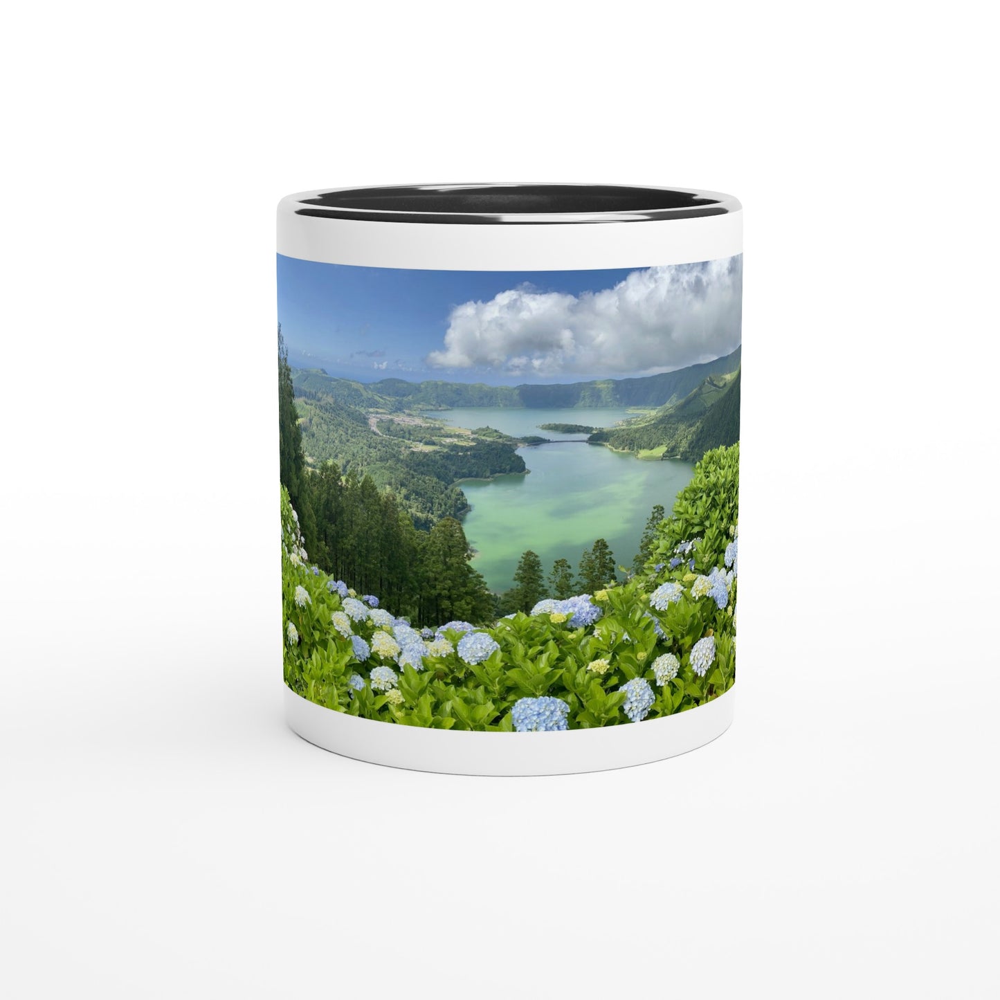 319c4648-fd86-4df3-837e-fc4b381058c9