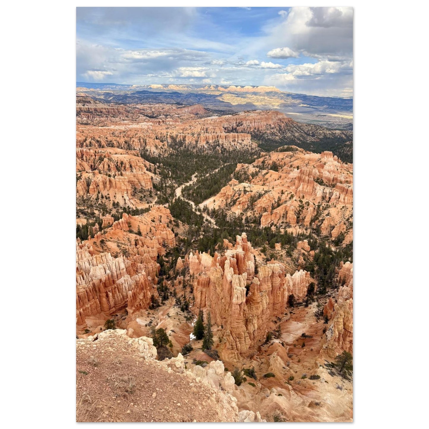 3337c17f-10ee-407a-b128-226b0df29113