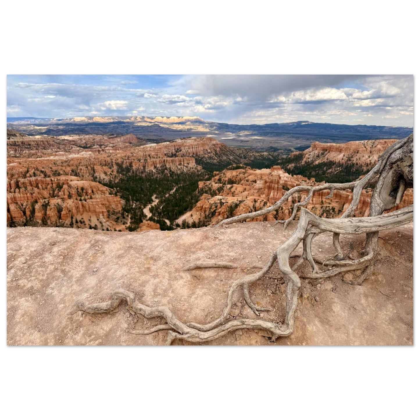 39304c72-cdcc-43da-b092-517553003ee8