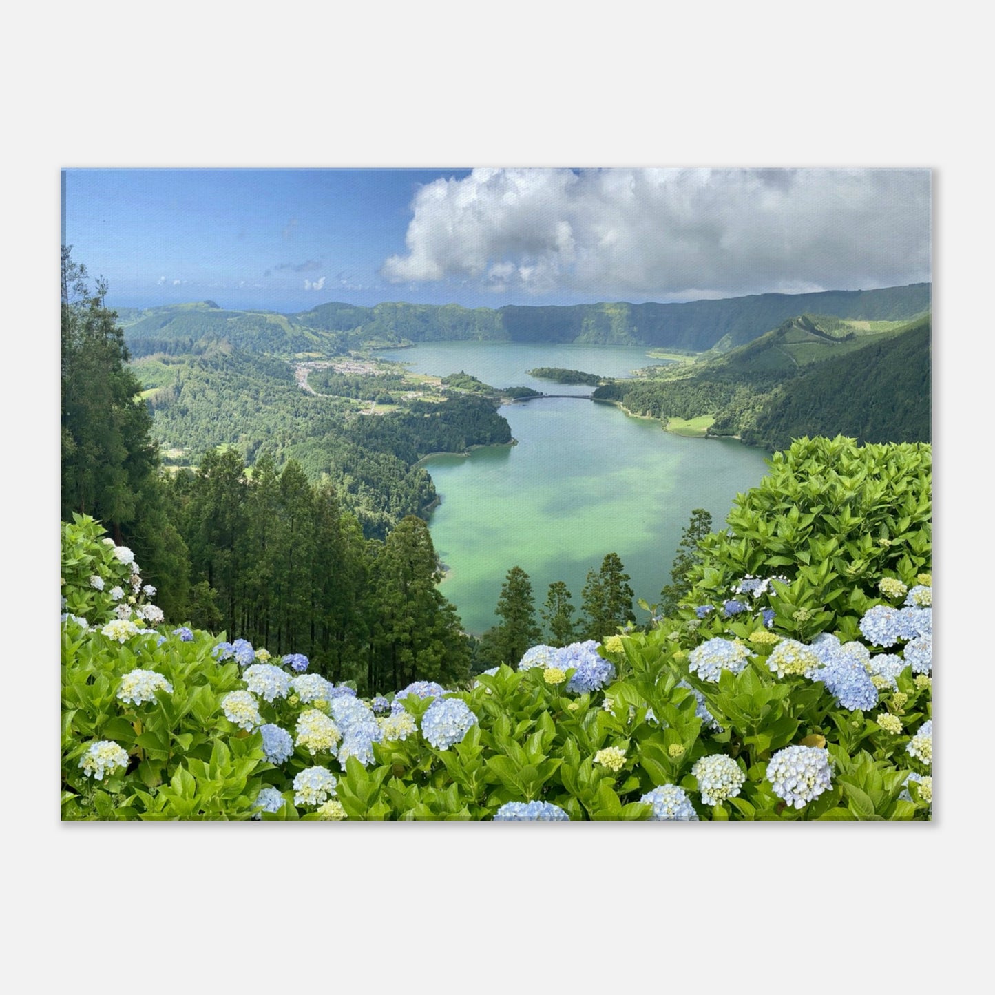 3cf7a6ca-04bf-4ae2-8ecd-20d7f0c2f776