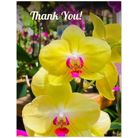 3d181d0c-ff66-43e6-b256-6c000efdd4bd