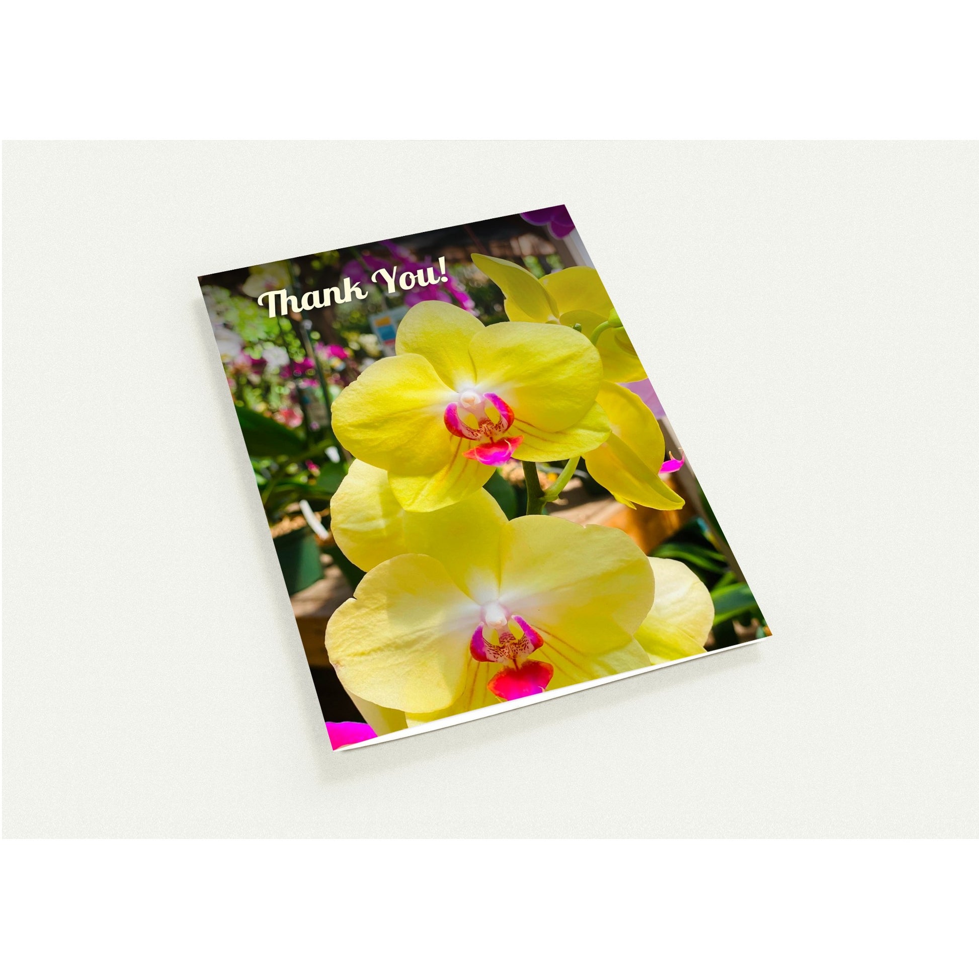 3f773ead-8fa6-4472-93a5-aa01005289c4