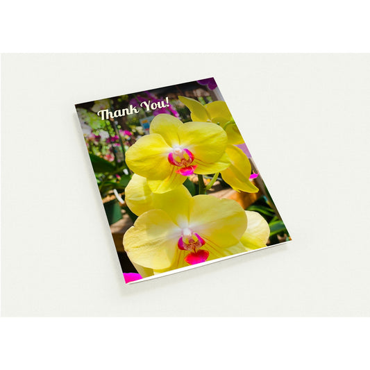 3f773ead-8fa6-4472-93a5-aa01005289c4