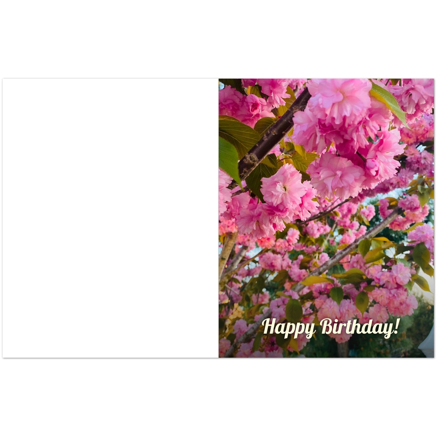 404d0a37-3599-4907-8d7f-67473d5b0357