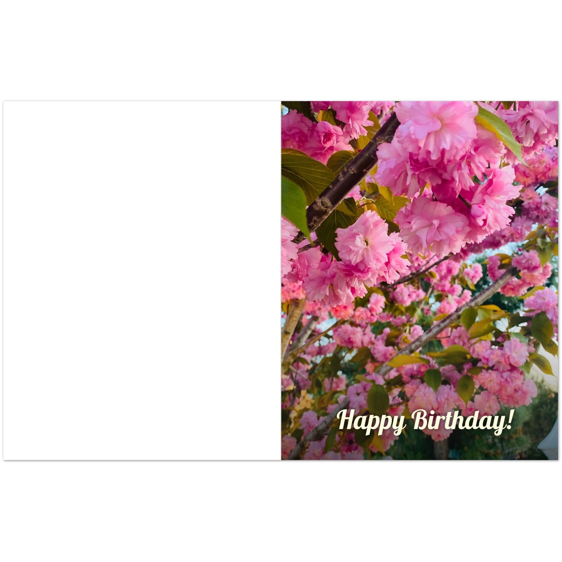 404d0a37-3599-4907-8d7f-67473d5b0357