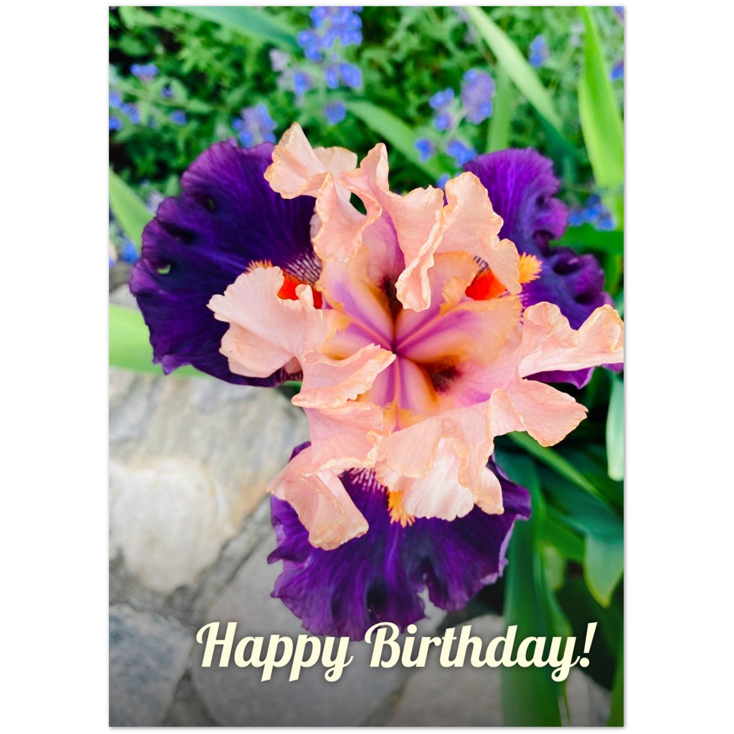 4077f0f2-f18a-4aee-9eb2-e1fca1bebfe4