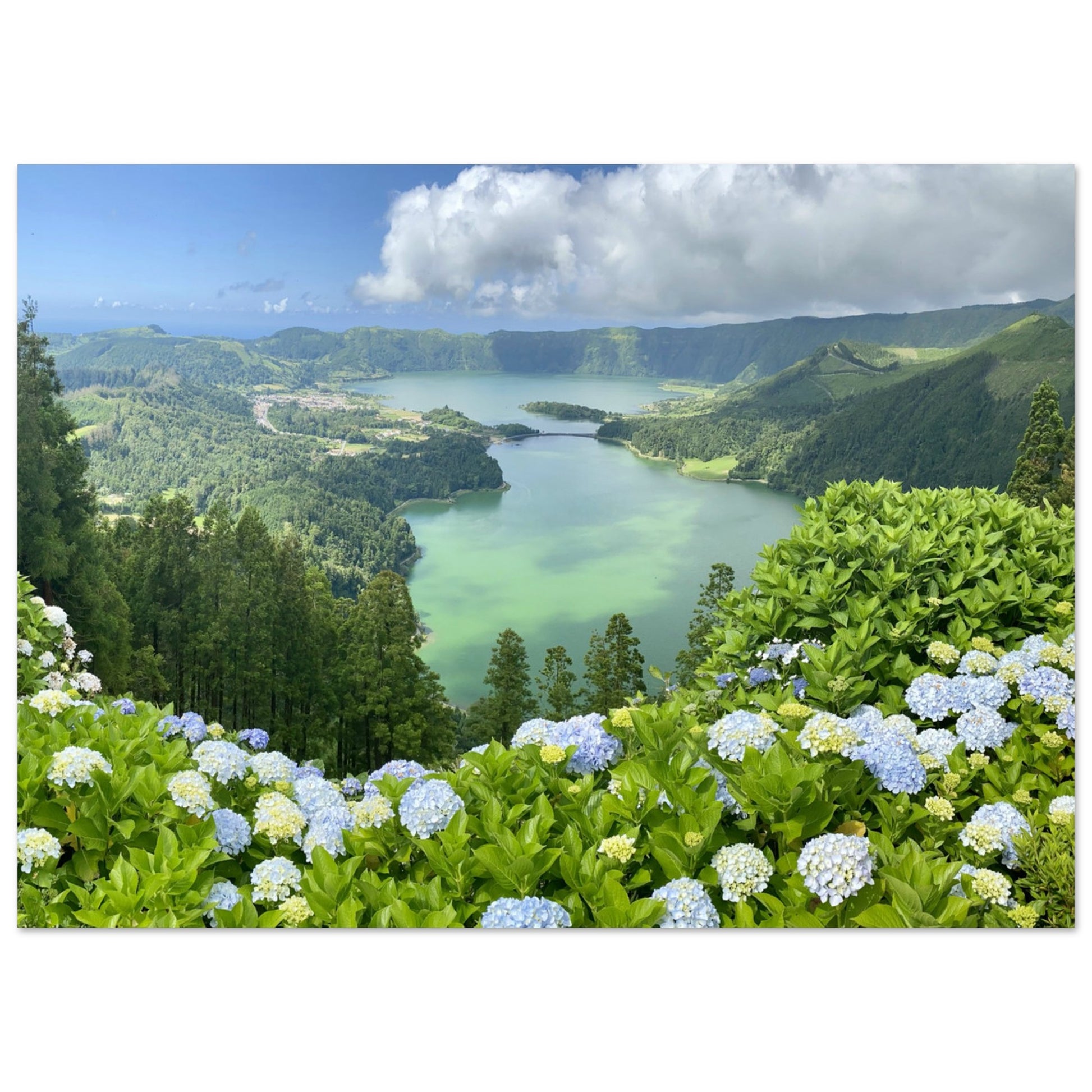 40ce04e1-4aae-4a36-b875-63f1816d89ed