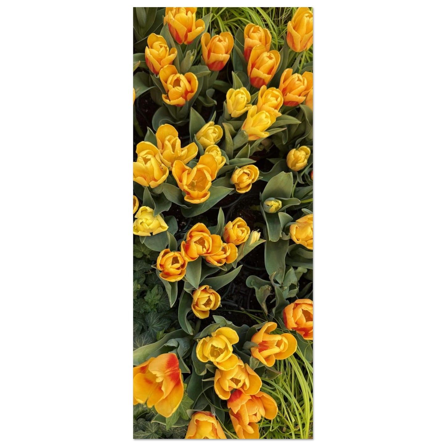 4952bd3d-3a26-4a23-93f5-0fba8a3d6c77