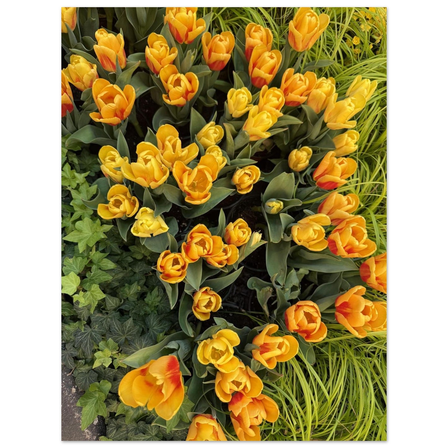 54102585-f254-4e08-894c-c75e445f8a20