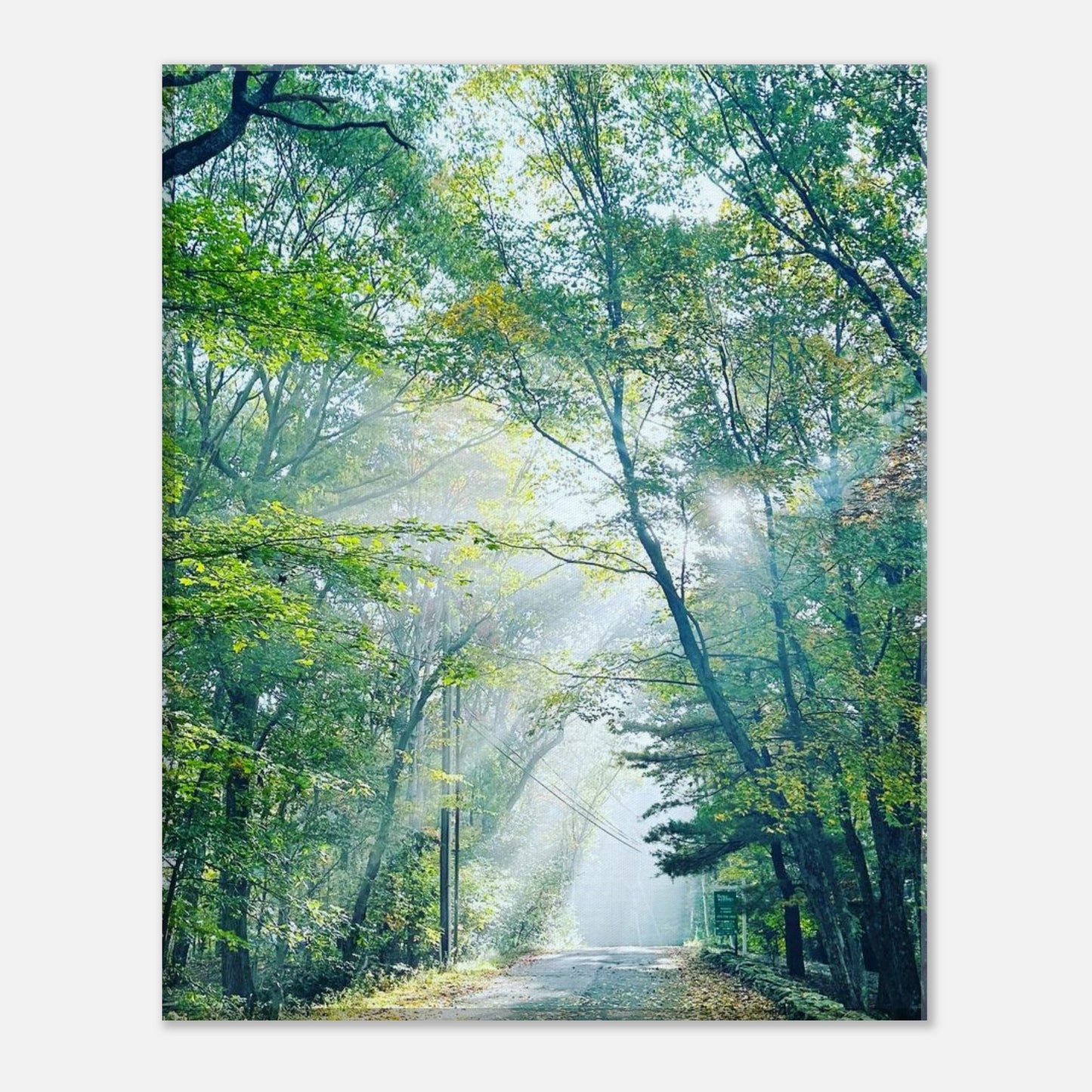 54554bad-2f36-43e1-9f75-235ee23852e7