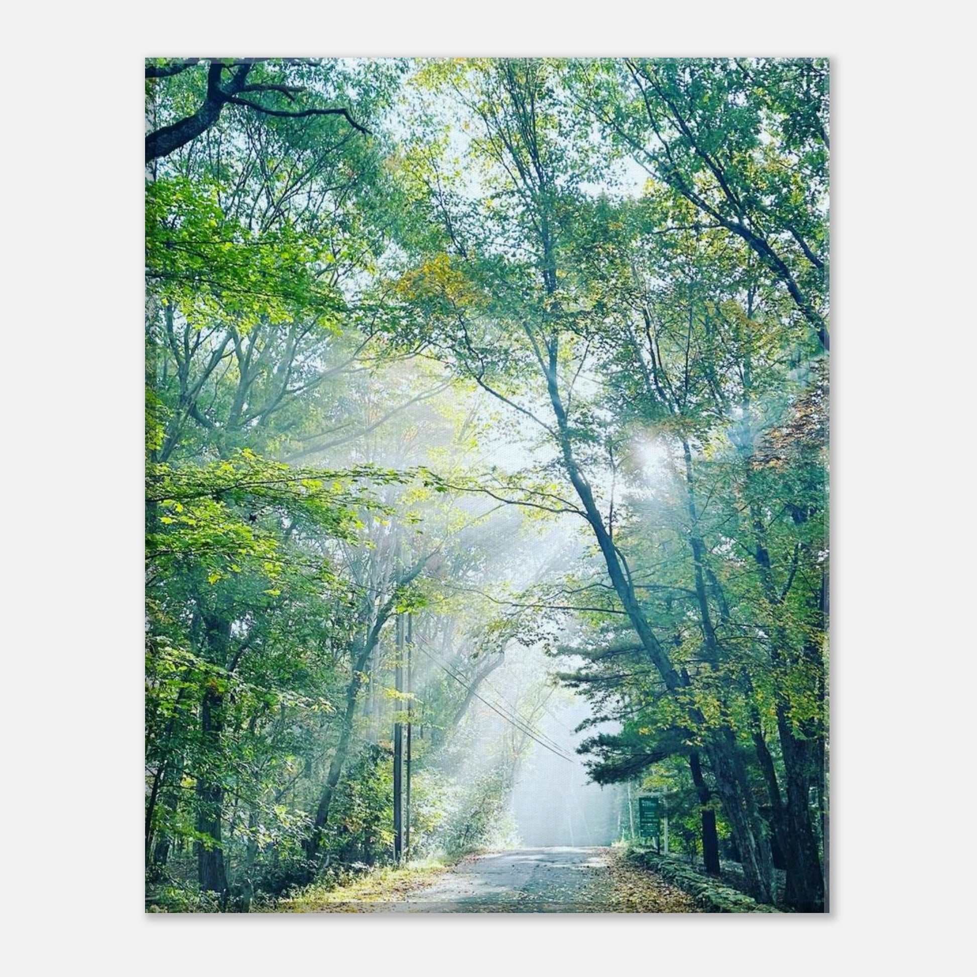 54554bad-2f36-43e1-9f75-235ee23852e7