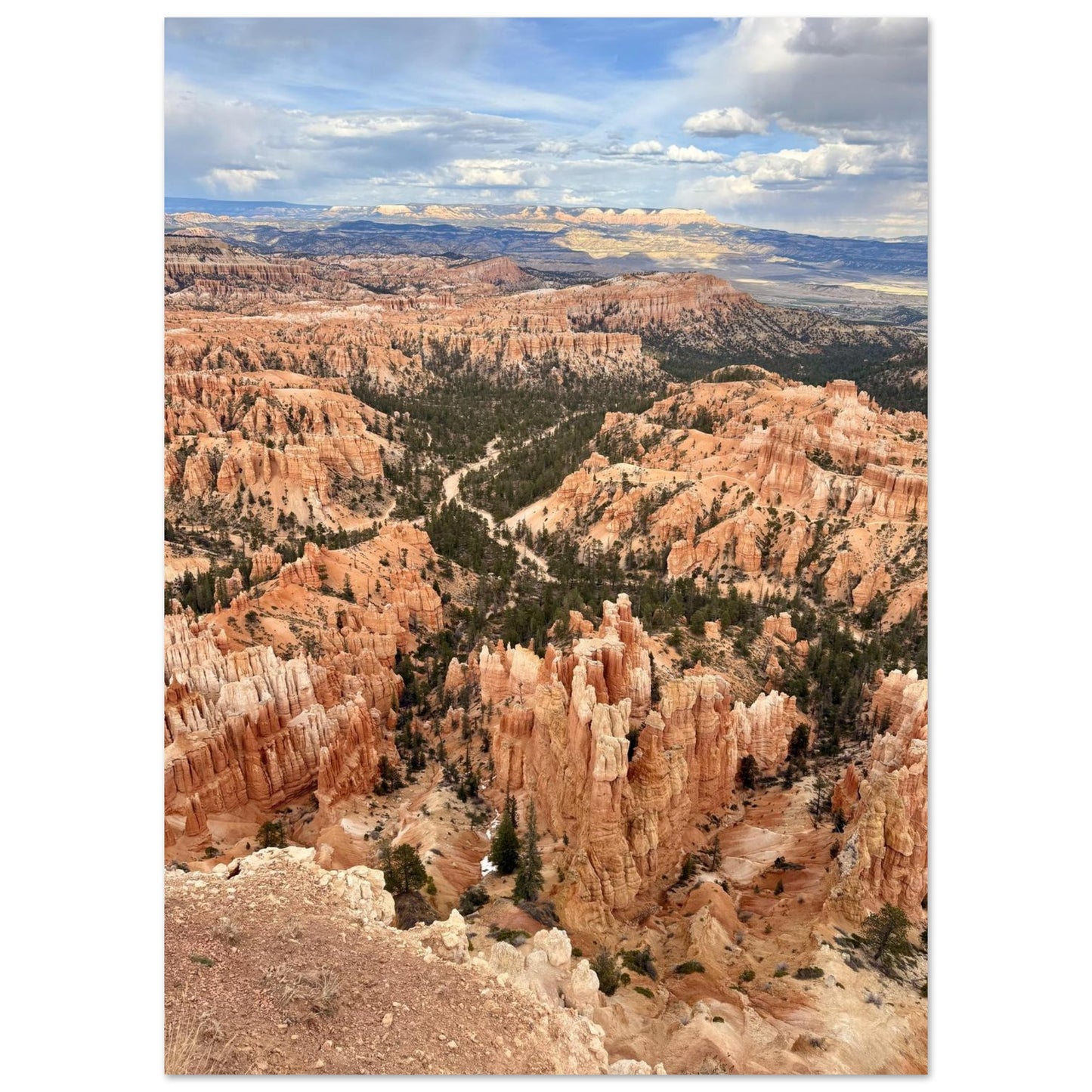 55fe306b-589e-4932-97ff-27c46e965ff5