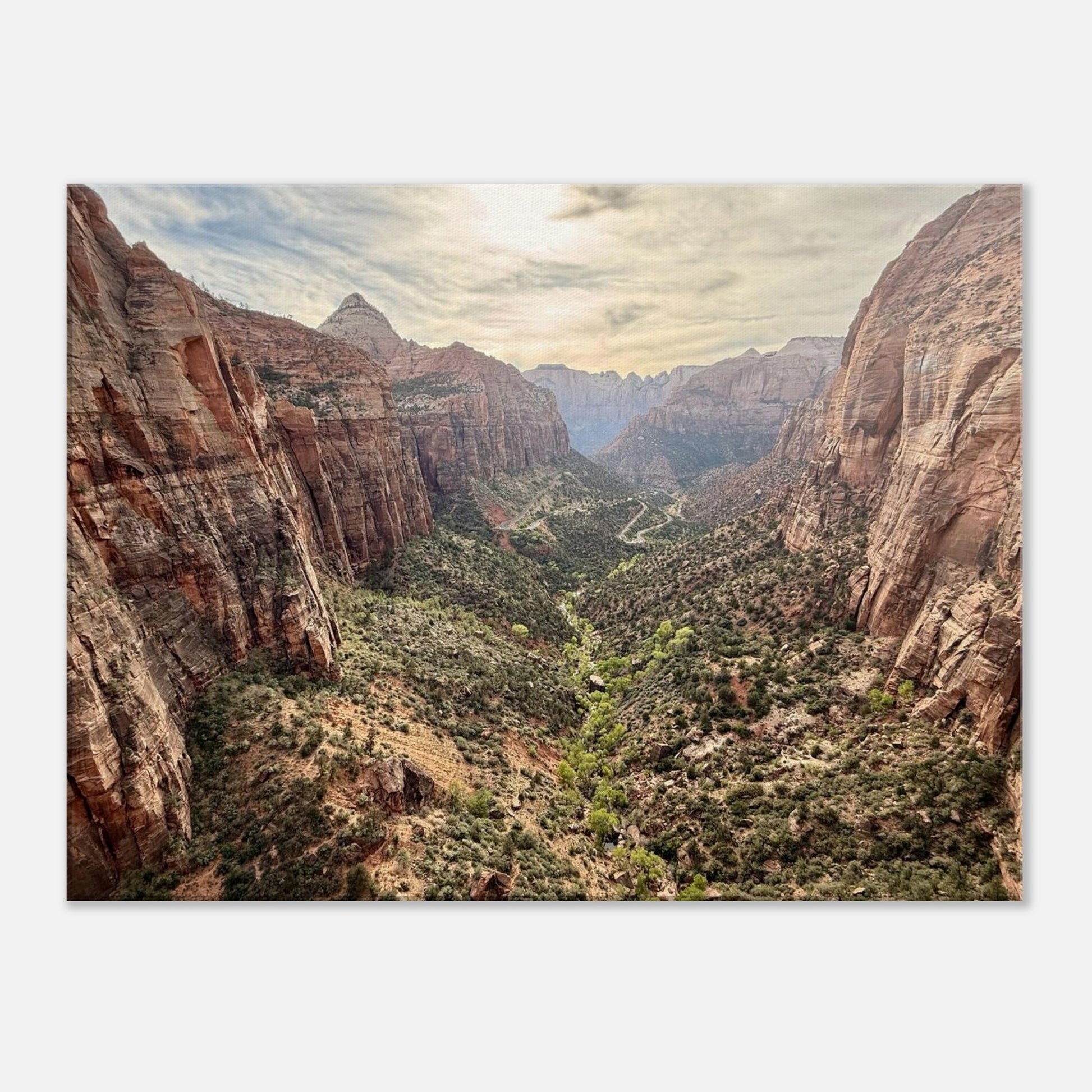 56ae93e8-b954-438c-bc99-0a321c501fed