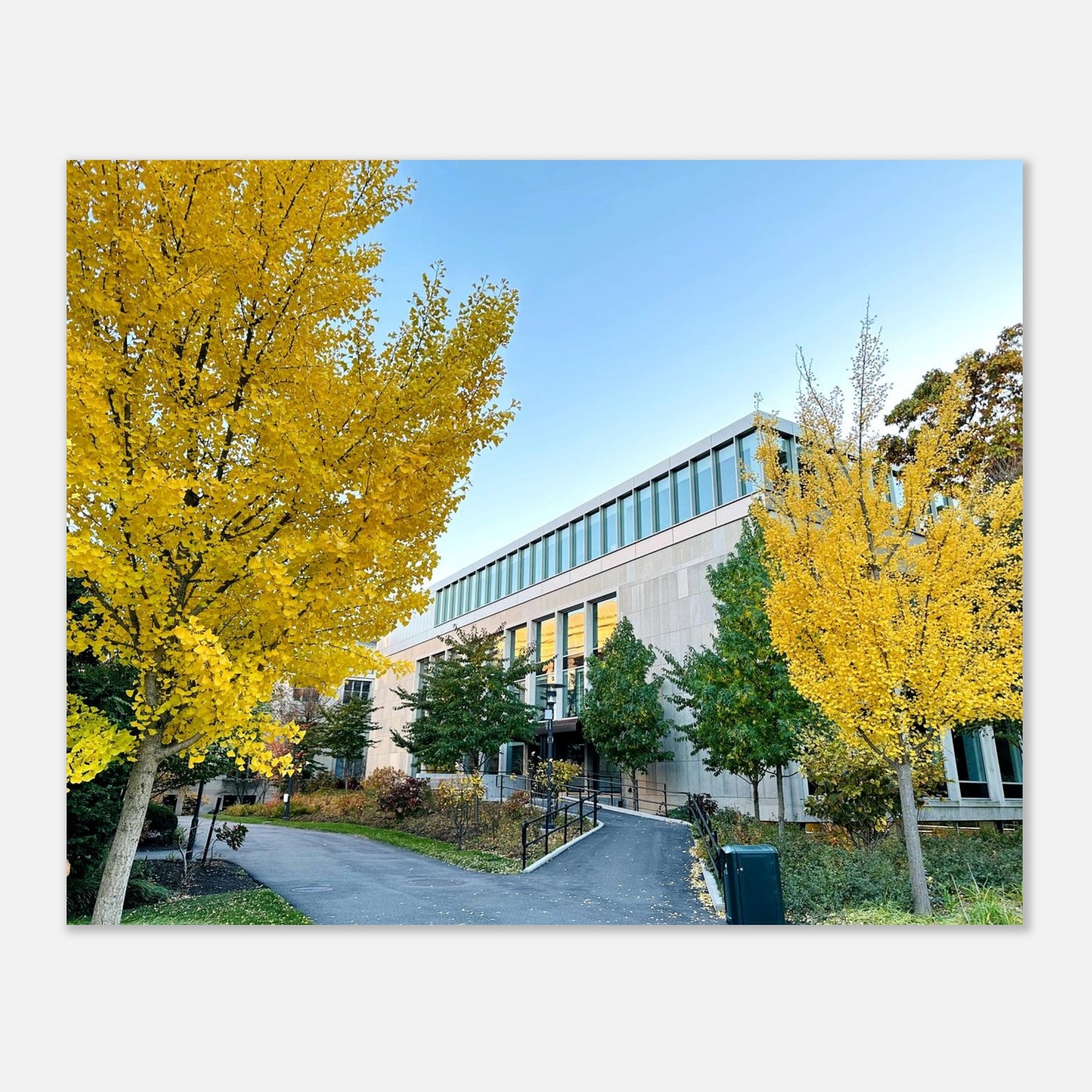 5784a7bd-f4d1-4e12-b272-60e67d548e75