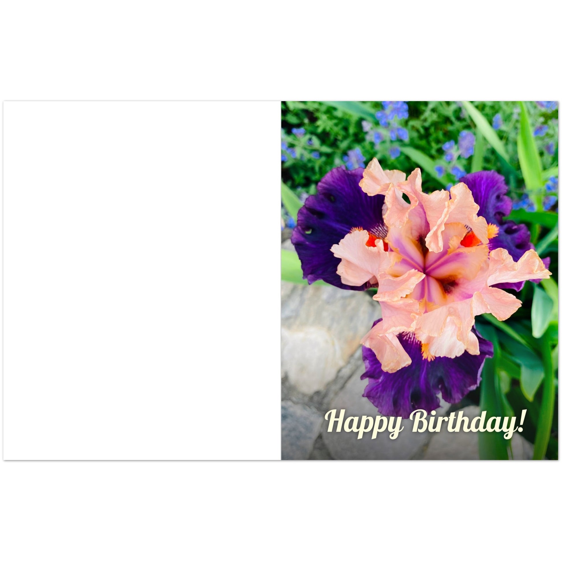 57fe98c1-e2c7-4935-b9cd-e346cadc8a6f