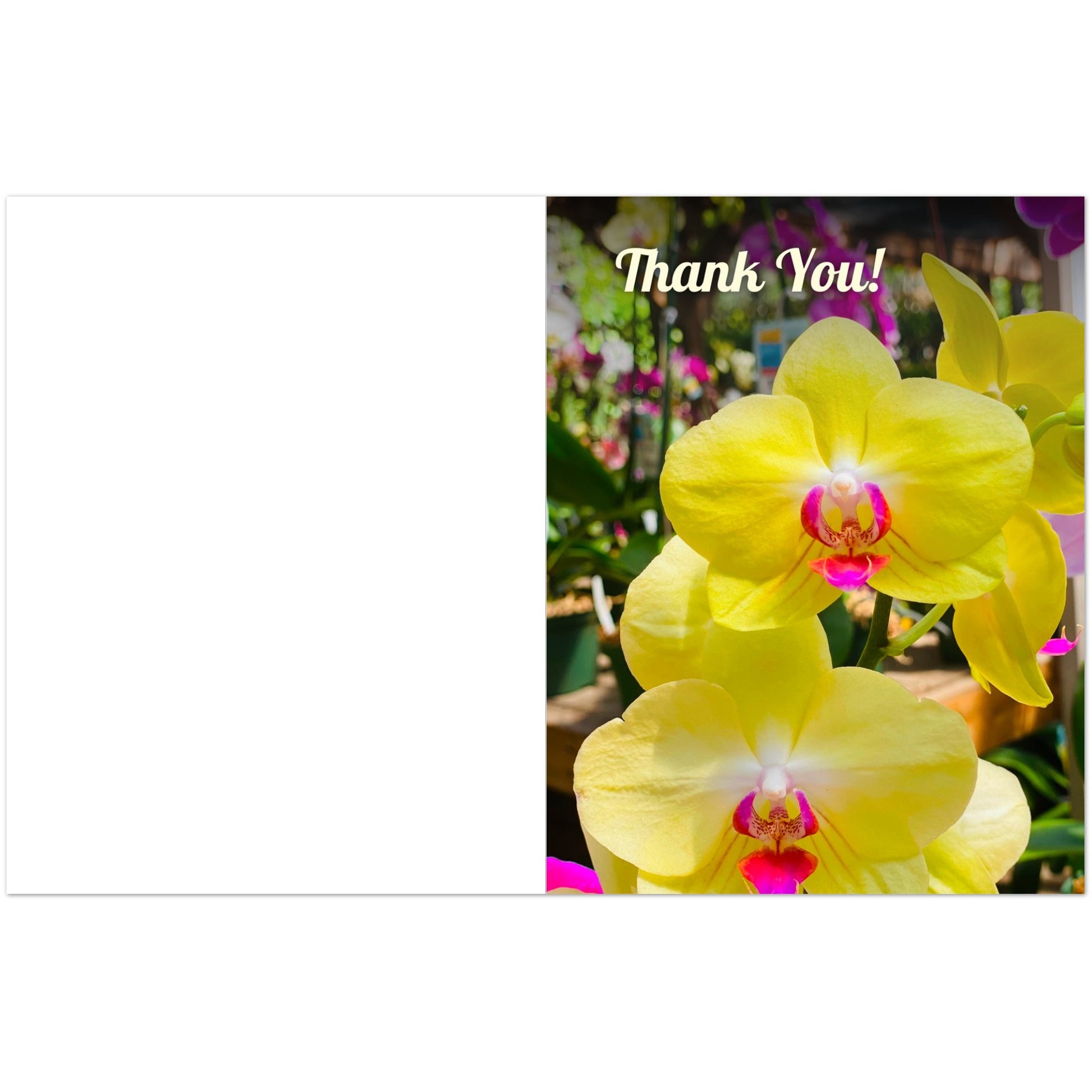 5812a46e-a63f-4b17-bf86-e74a4228ad32