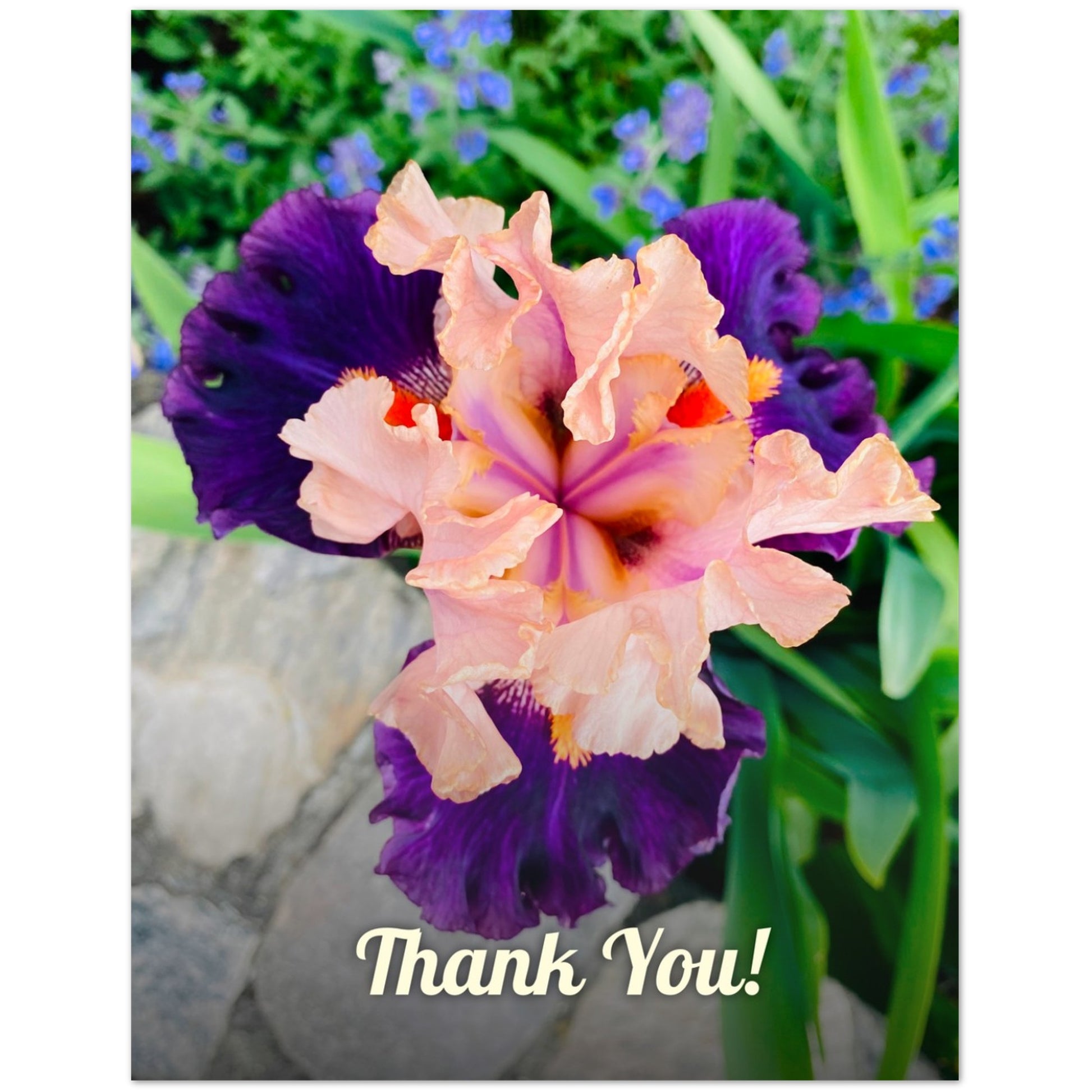 5ae05890-af8e-42ab-8450-8707fd3156f1