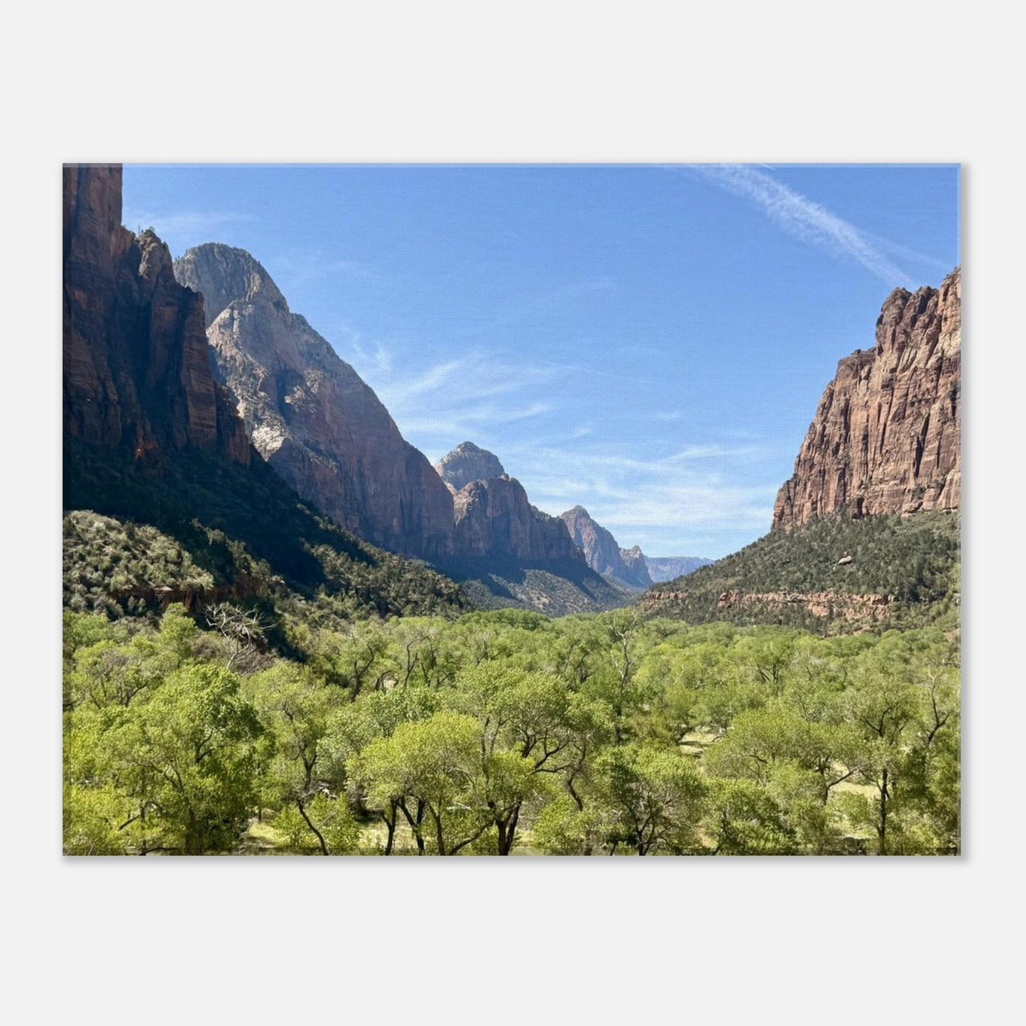 5c2992a5-12eb-4c03-aeab-d08d3e460269