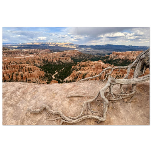 5cf89a5d-c52c-45eb-9a79-a2897d873eee