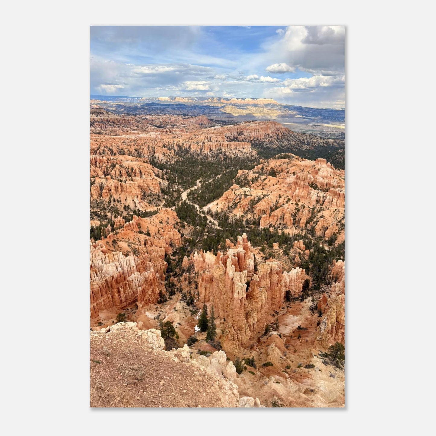 5e0ef1e2-b378-4f0c-b9b3-a0597d1182e6