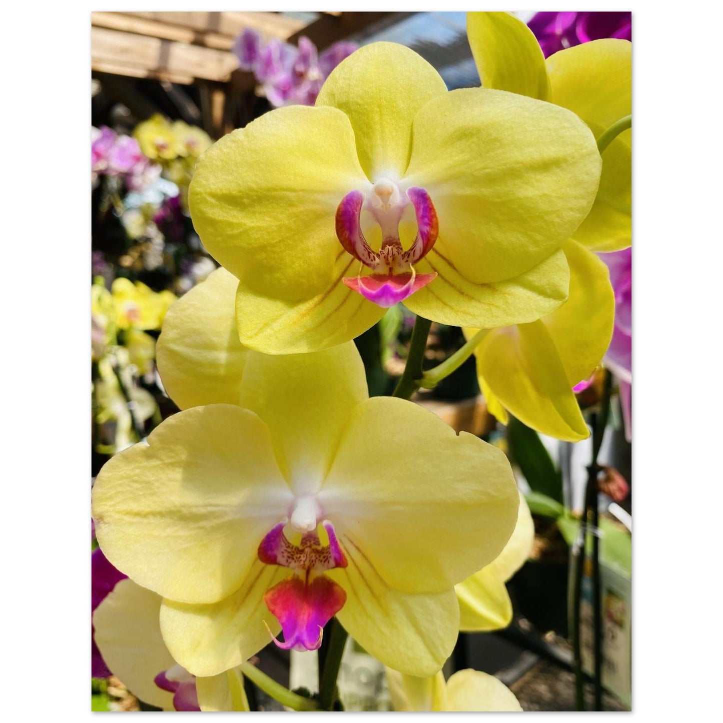 6100e244-9262-4162-823f-010161047ac1