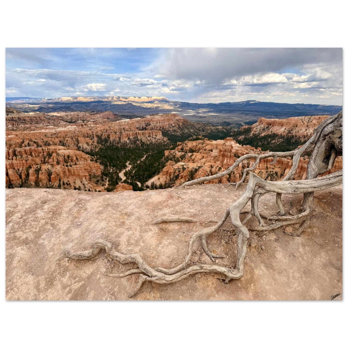 63fdaa67-b36a-471c-acfd-d464e4863f83