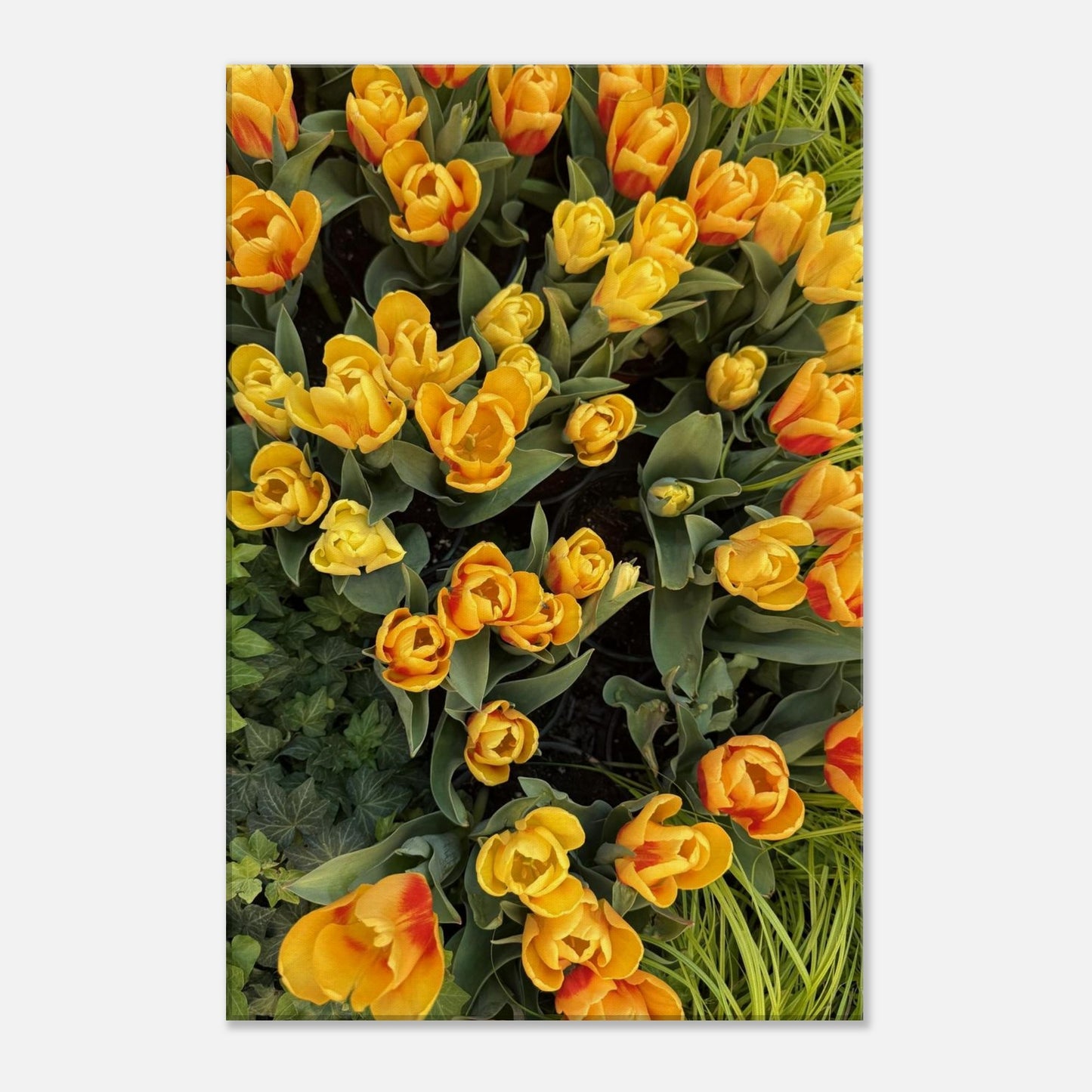 64027a13-acd2-4da5-90a5-5beb73621680