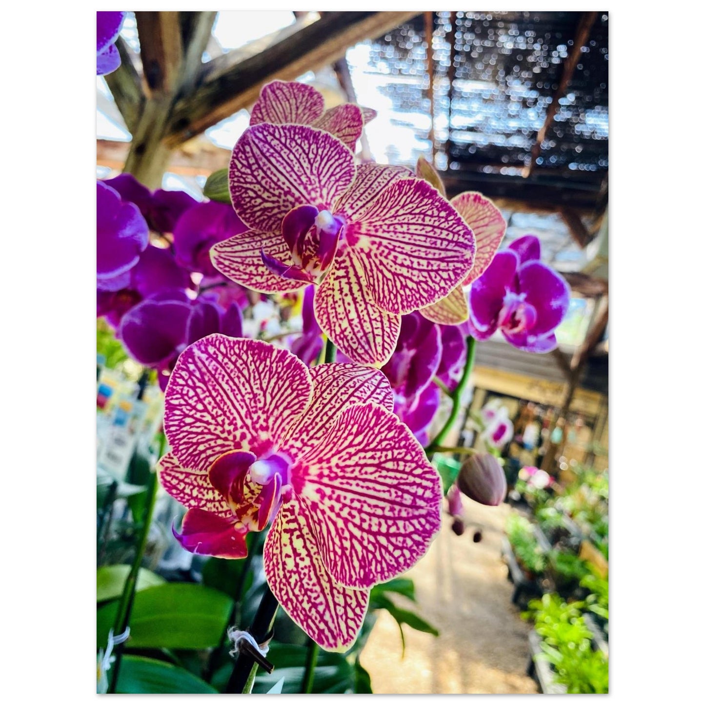 64a30a92-bd39-42fb-9683-fea97294d824