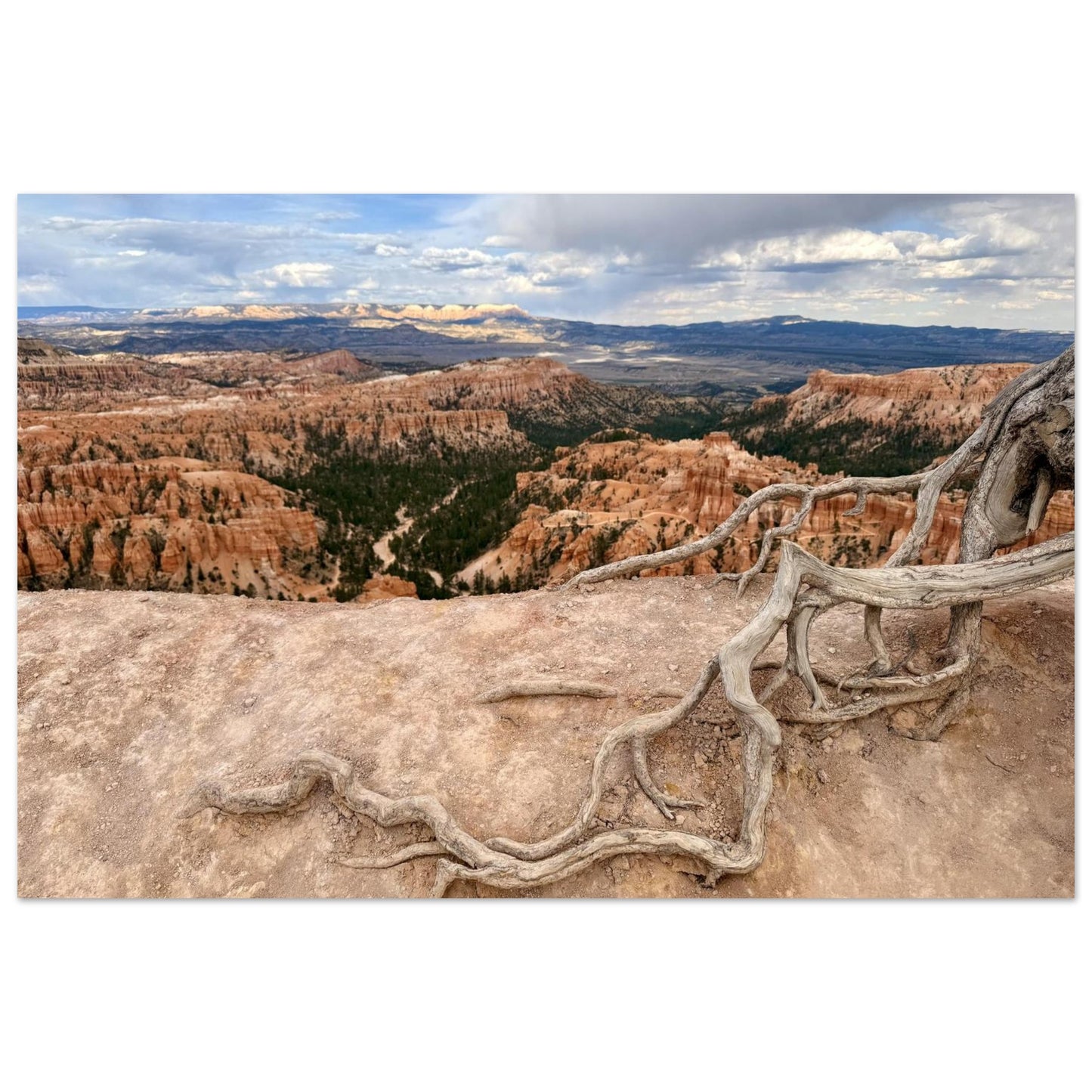 6681bc56-33db-4e2f-8392-fc6e9fe66e48