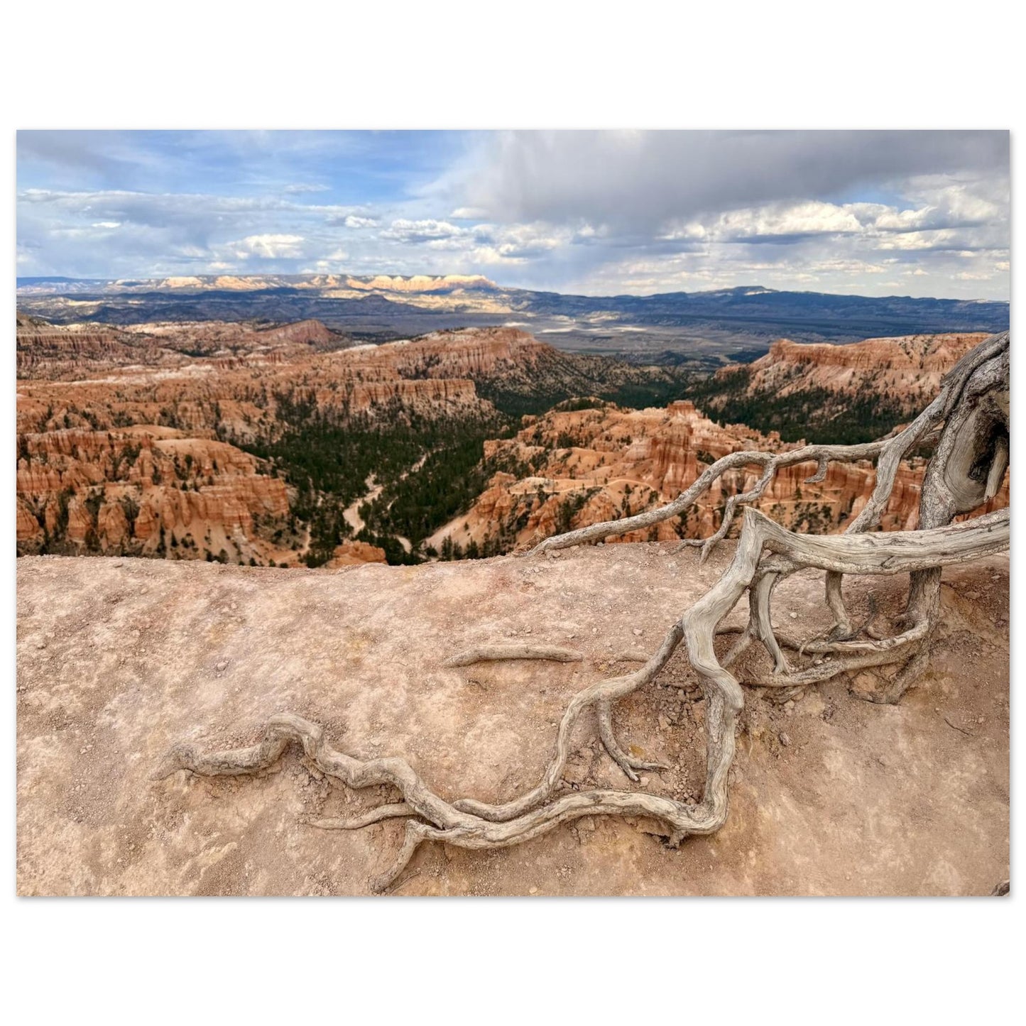 733958bd-8524-41cc-865b-8e613e1916dd