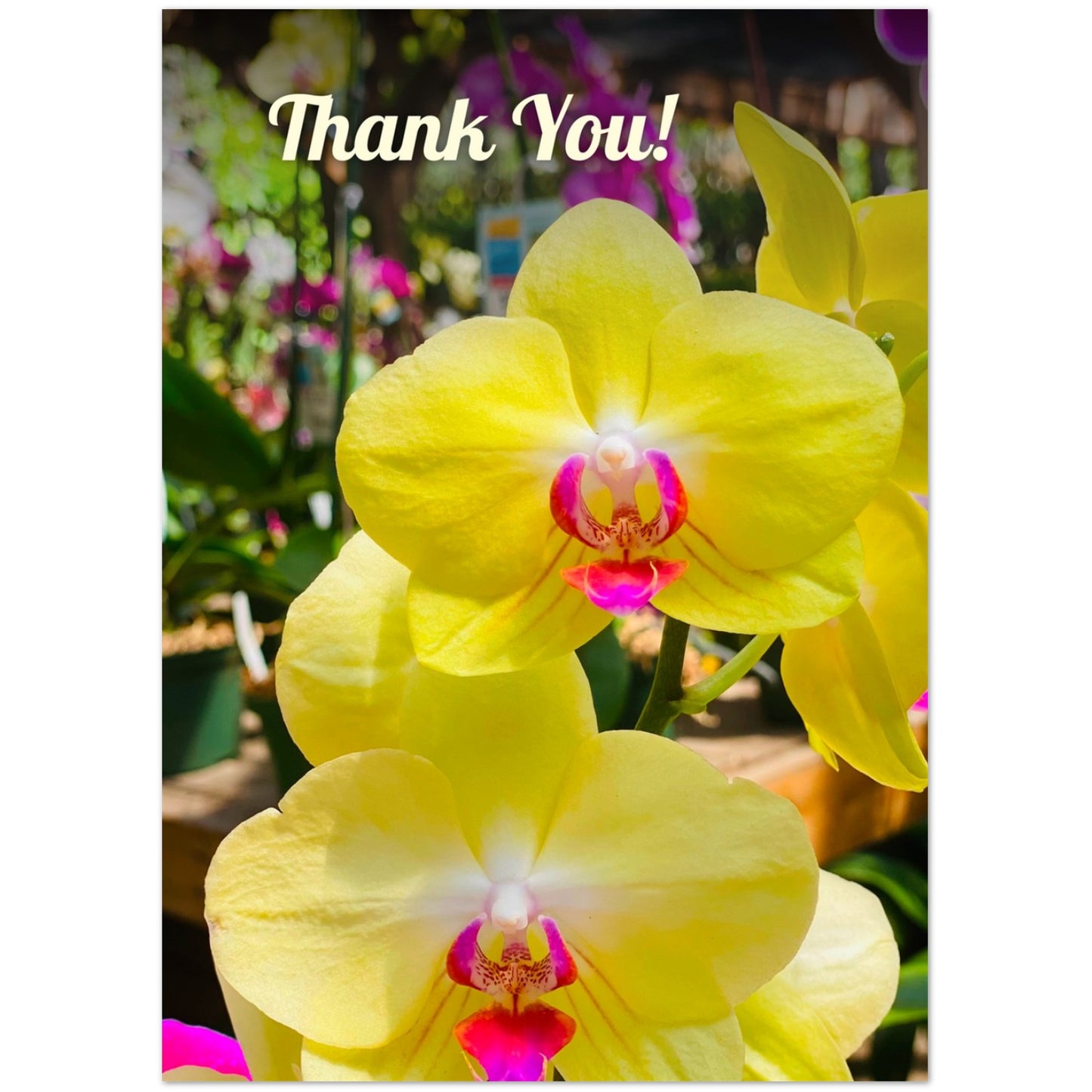 73f153aa-6773-435f-a110-73839b7ed010