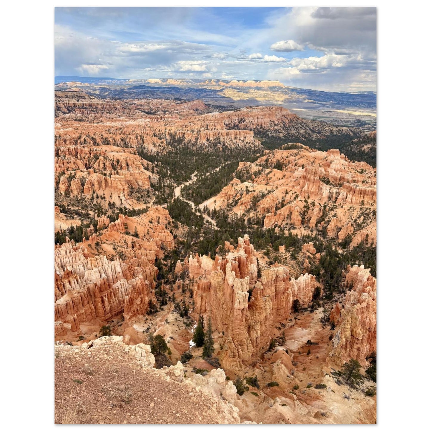 765fda10-f427-4e7d-aa73-1313286a2b41