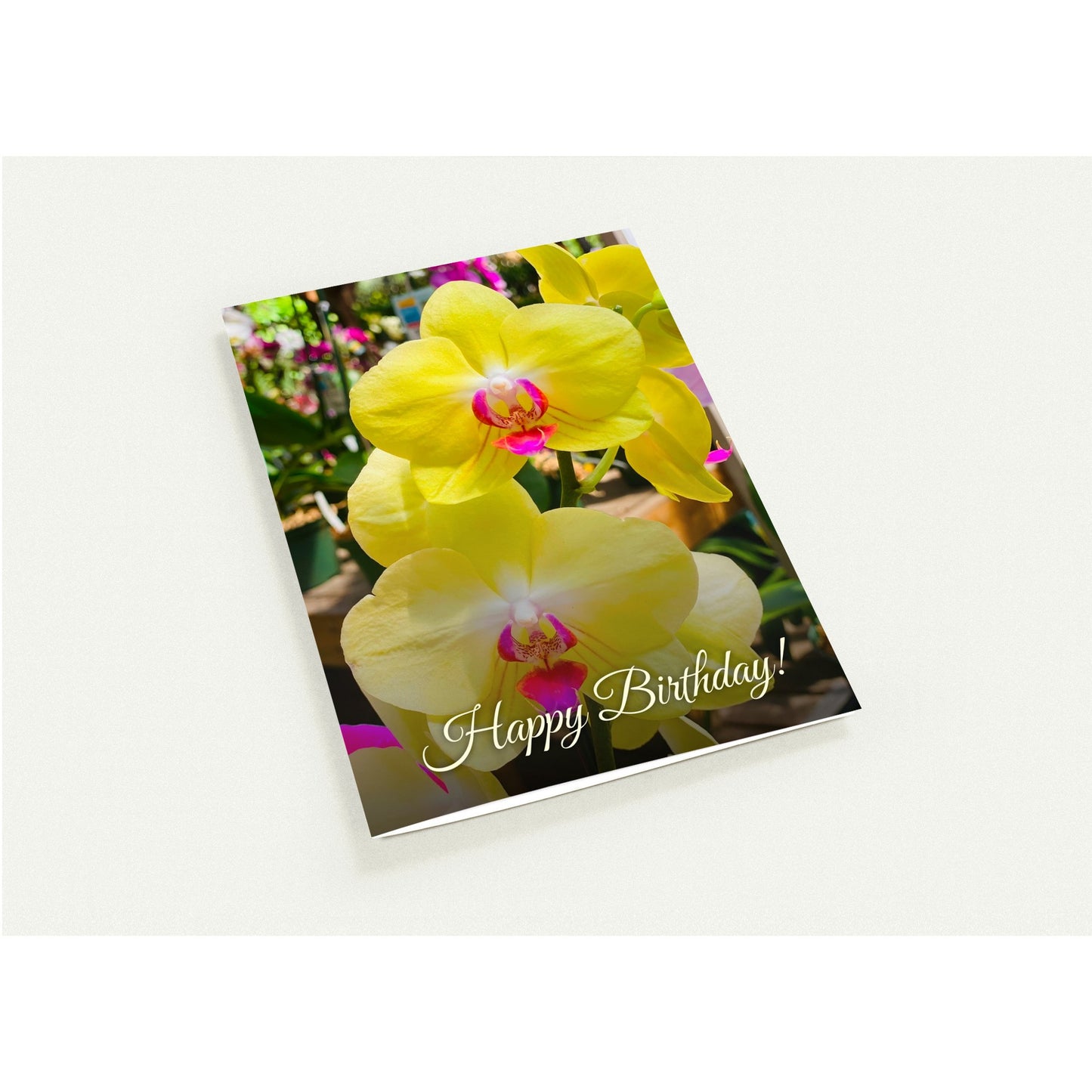 77243347-c252-429c-ad2c-a32a38c9c951