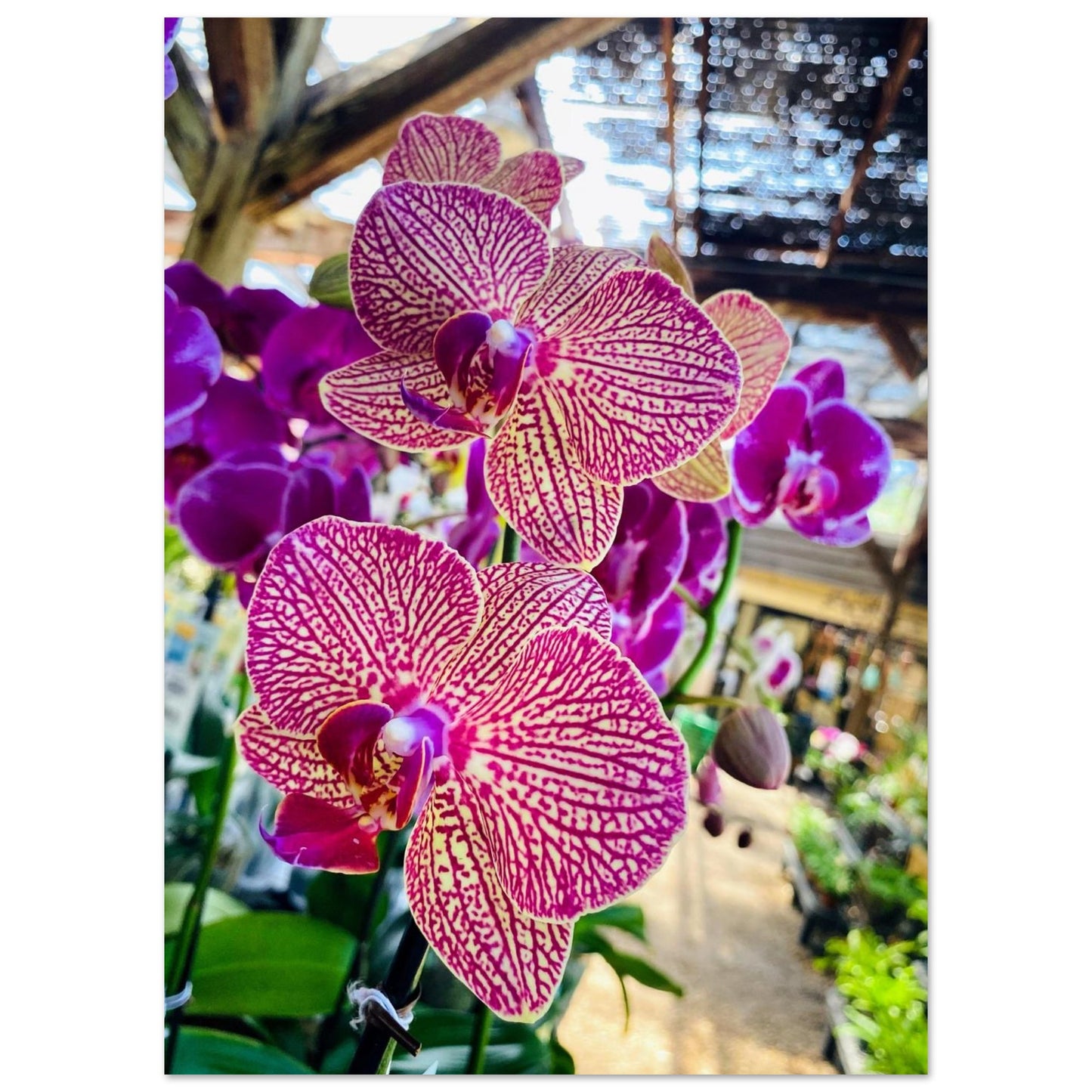 77902ef6-02f0-44e4-9c53-1aca6afb8646