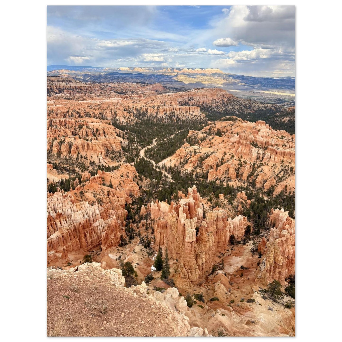 779cb7f6-f759-4198-940e-45d751be91bd