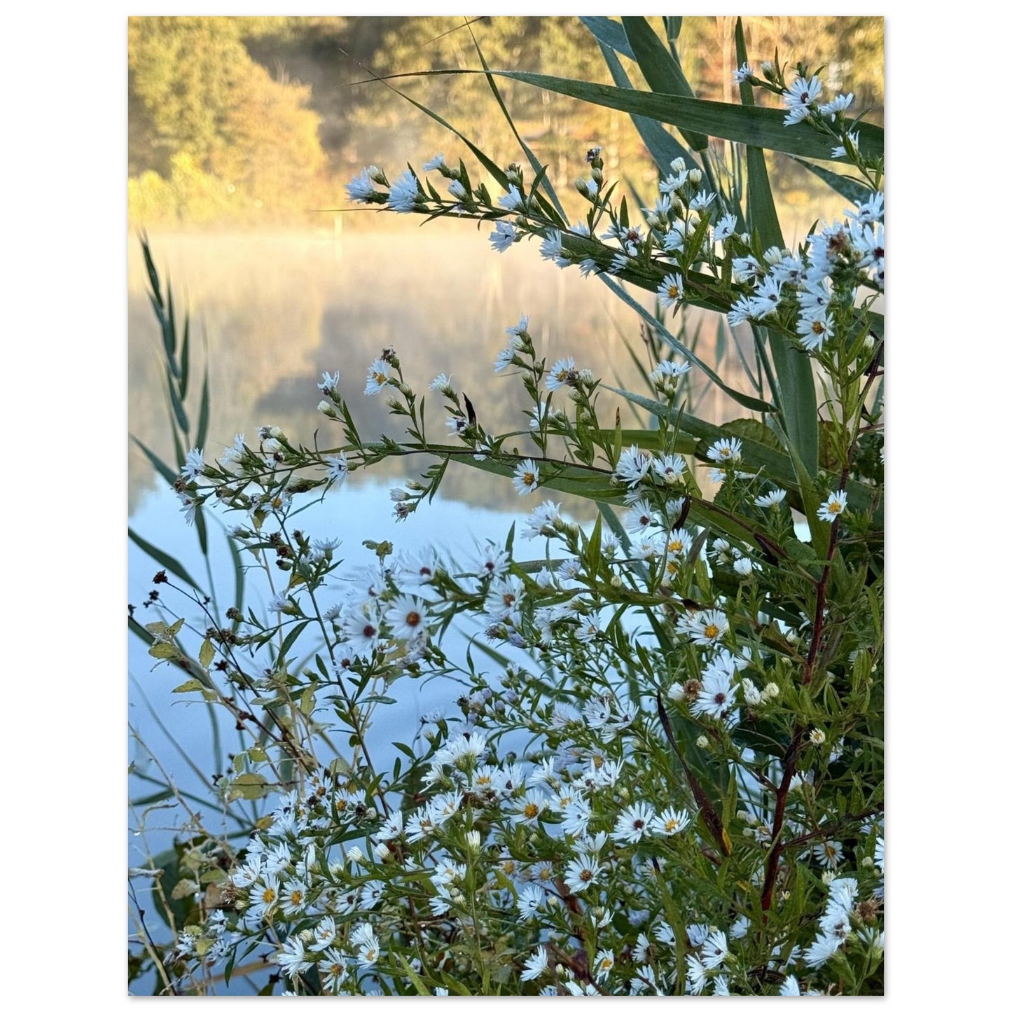 78cd24ca-6be7-436f-b0c0-029660e22117