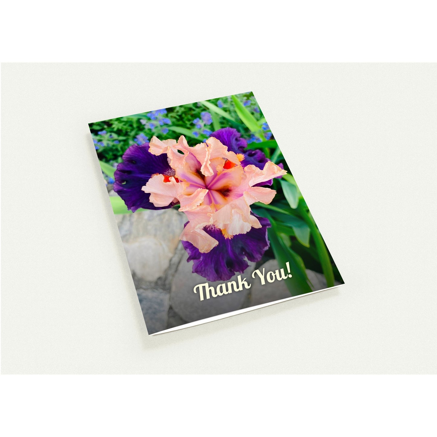 79b53d0b-7203-4388-bb70-3a02e8217251