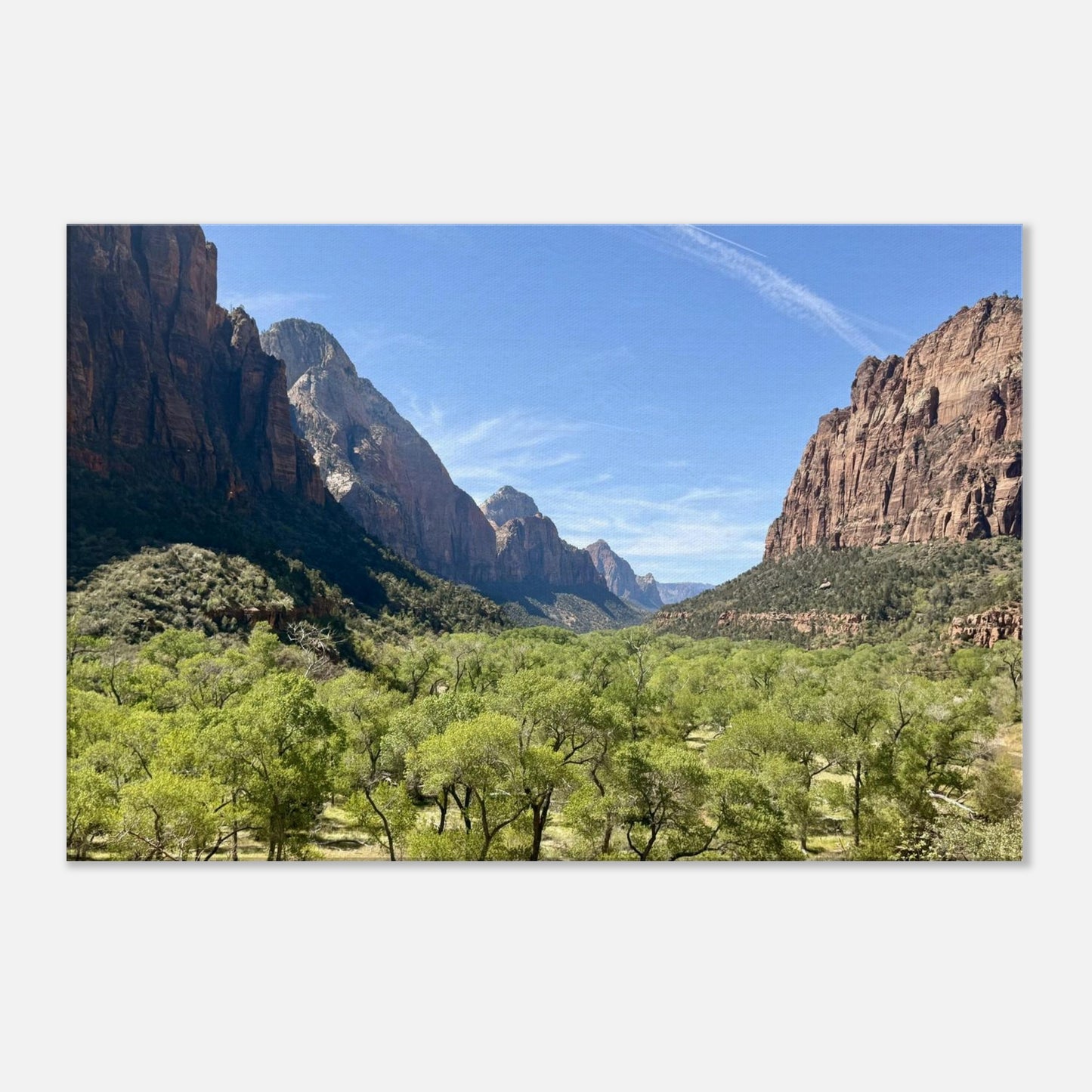 7a138435-d7b3-4d9e-b115-53e412e1565c