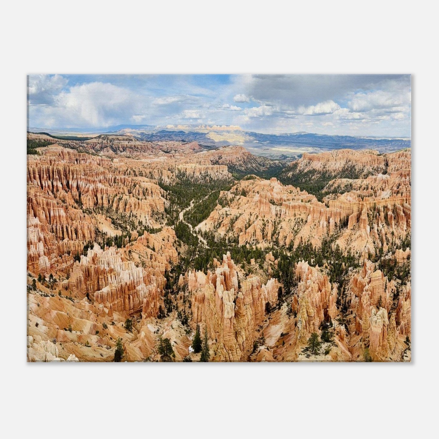 808d0113-f1c2-4702-9cab-92c8168912de