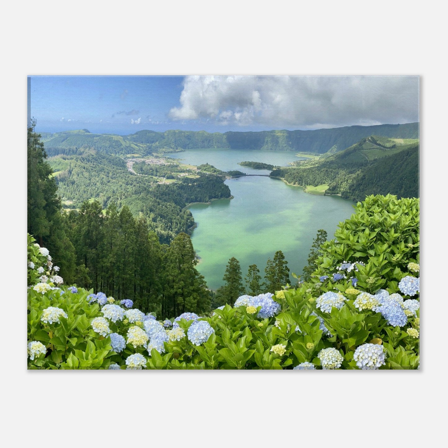 814b5408-e602-45f3-a6bd-823874a550d1