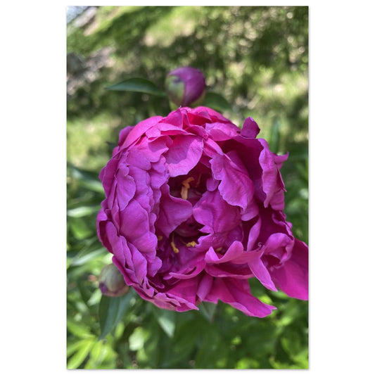 82915174-ee8e-4ab3-963e-527c0828ff2a