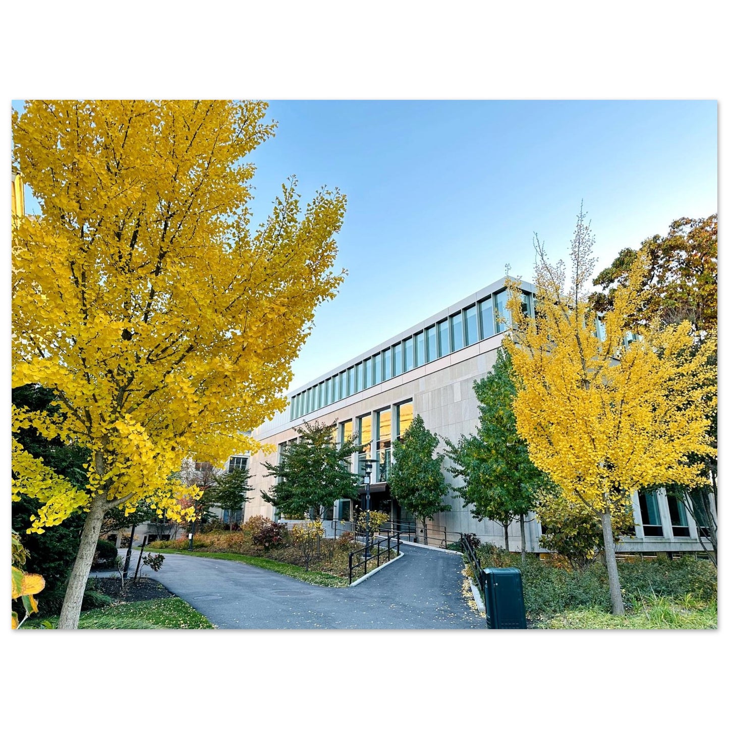 83c4fa7c-8616-4655-8797-fe2a9dc22b20