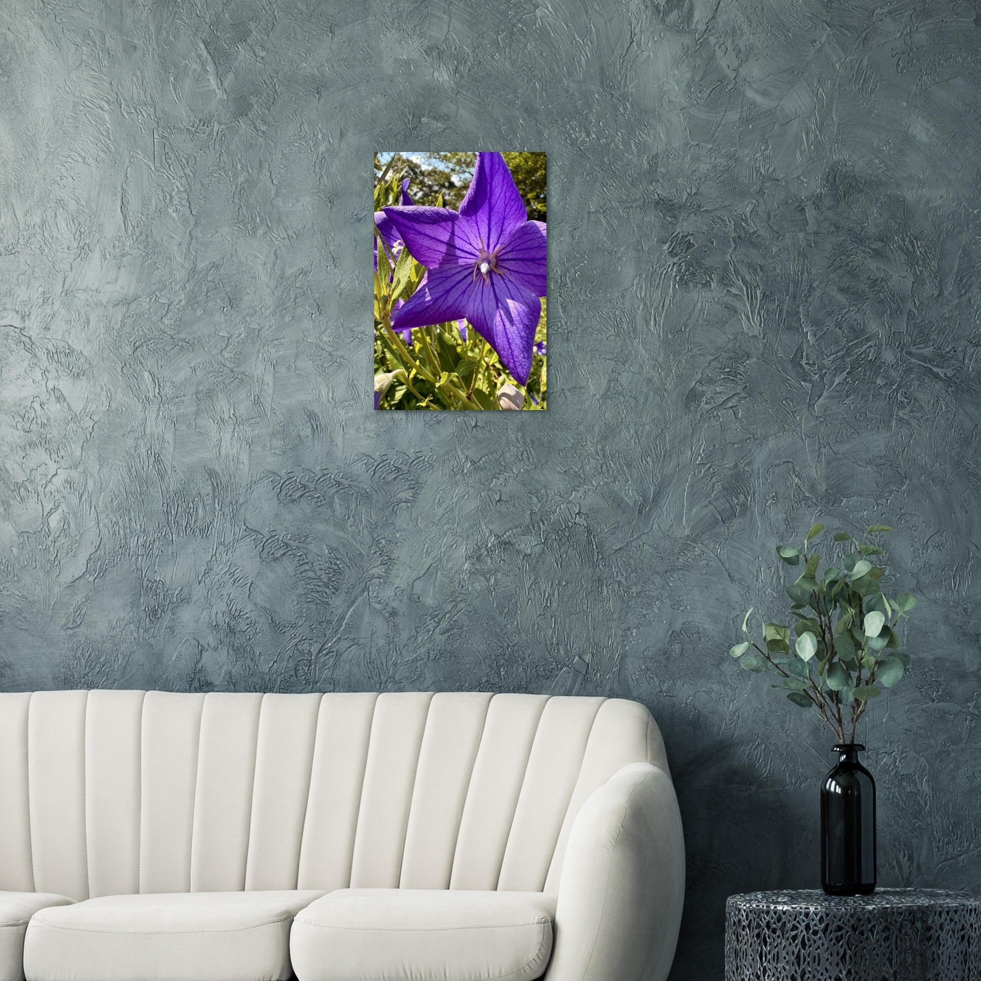 85c8ef81-581f-4732-8d67-6152cdca914a