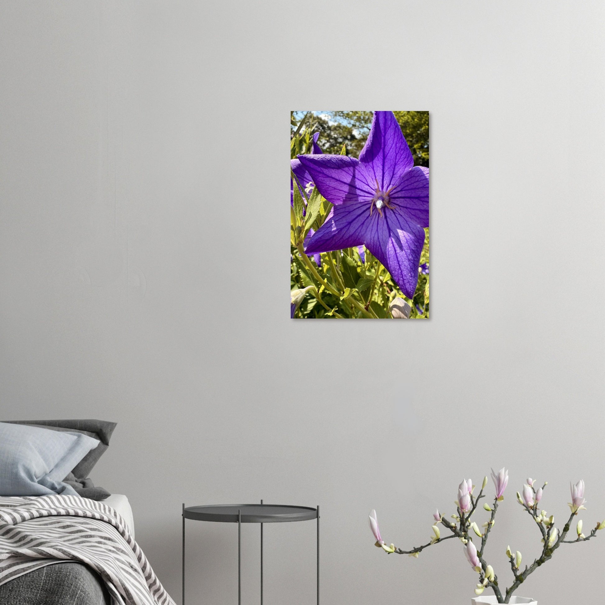 86be9762-7c5d-49f7-b3ab-54fbca5216ad