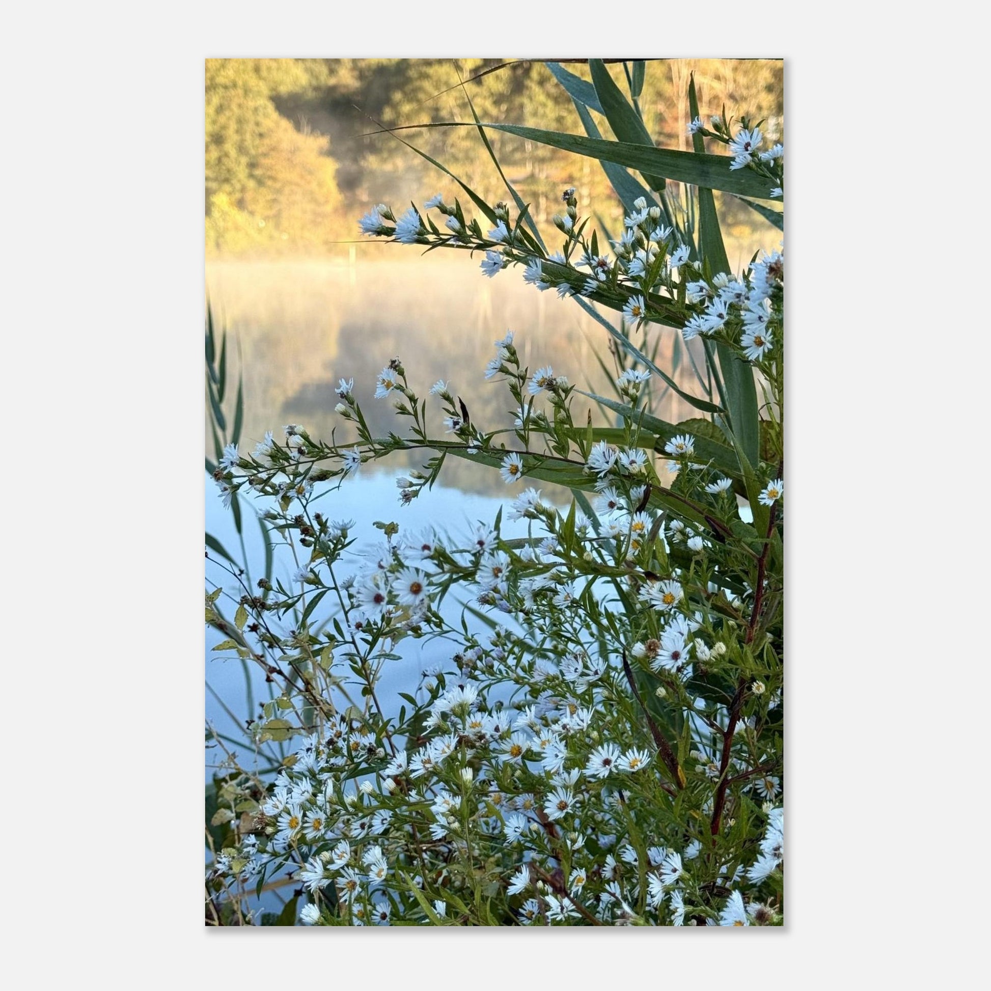 87e1b594-42a3-423b-952c-98325c52662a