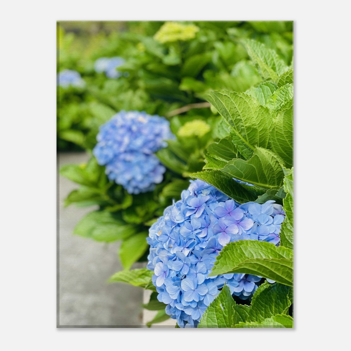 8886e5ce-17c7-41d1-8852-6f9a13fa509d