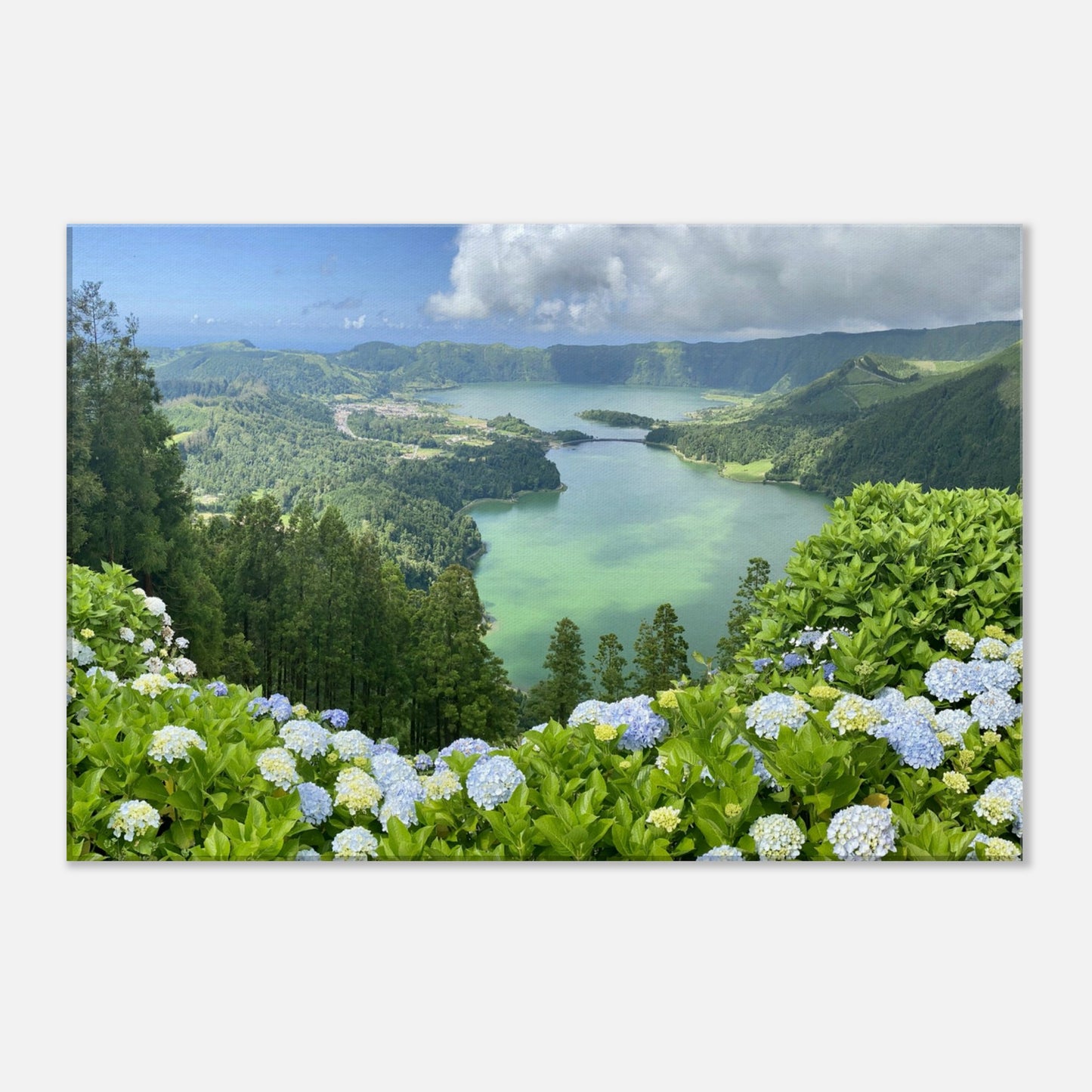 89ff3cd2-808d-4dbb-91e0-7a520de8696b