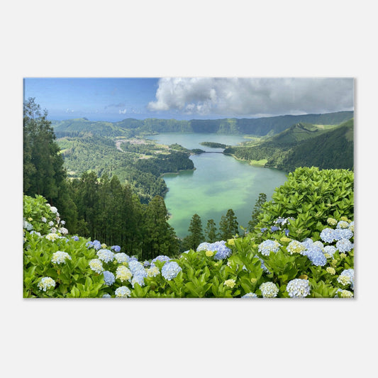 89ff3cd2-808d-4dbb-91e0-7a520de8696b