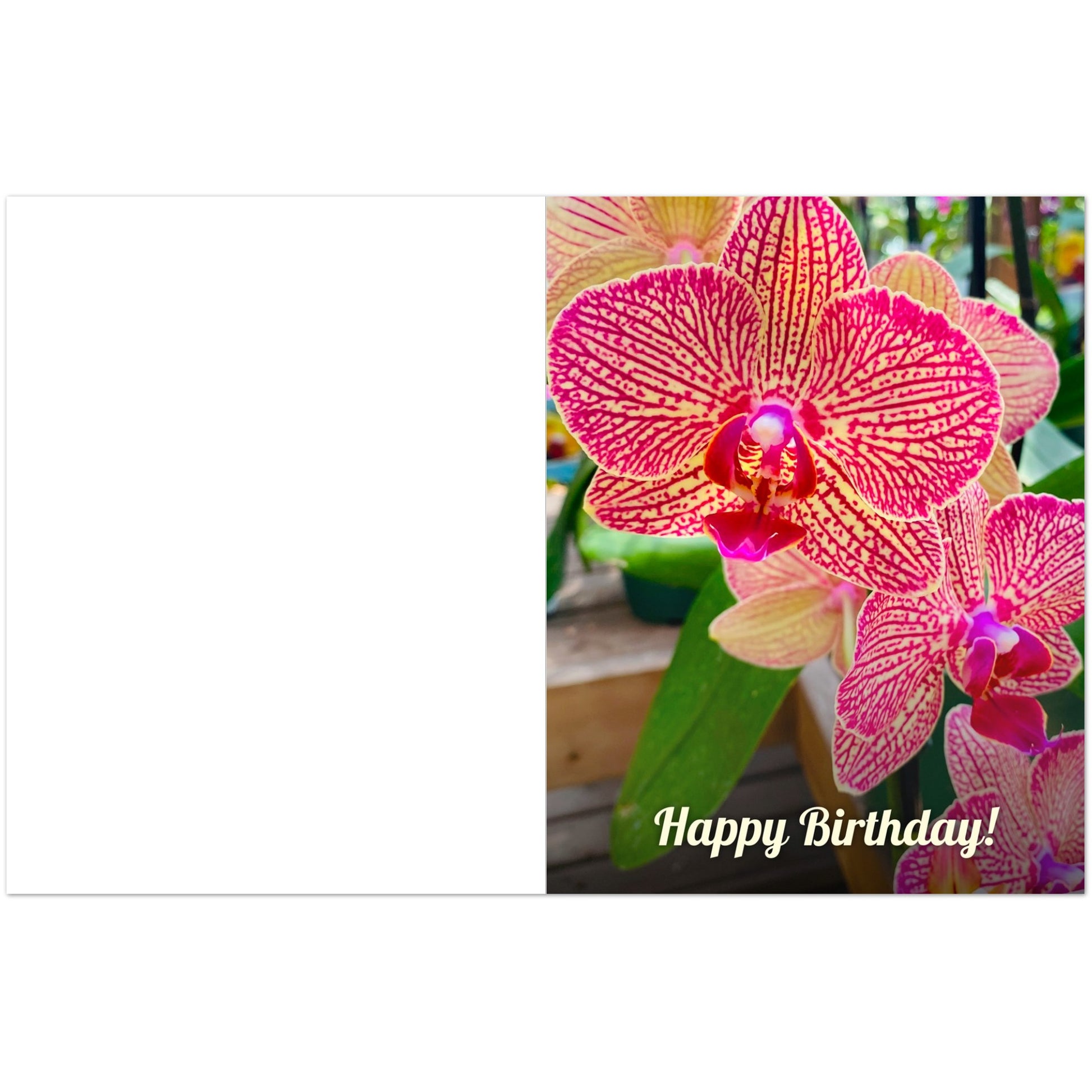 8a51801f-c288-4161-b991-61b68b8dd657